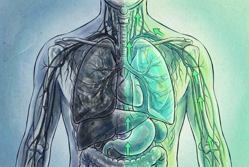 Your Lungs Have Been Collecting Buildup Since Before You Woke Up.
